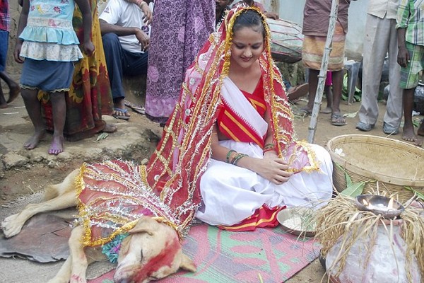 Indian Girl Got married with dog